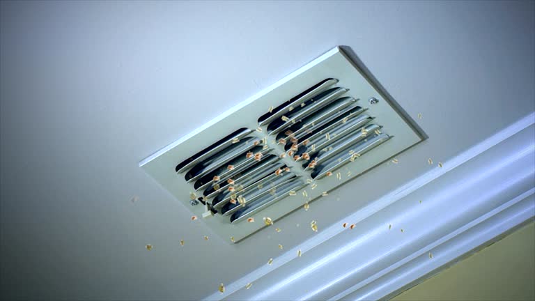 Best Best Air Duct Cleaning Company  in Prairie Du Sac, WI